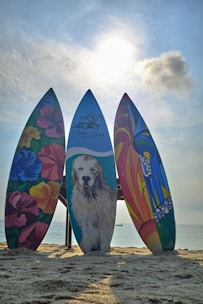 A creative 3D printed surfboard displayed on a sunny beach.