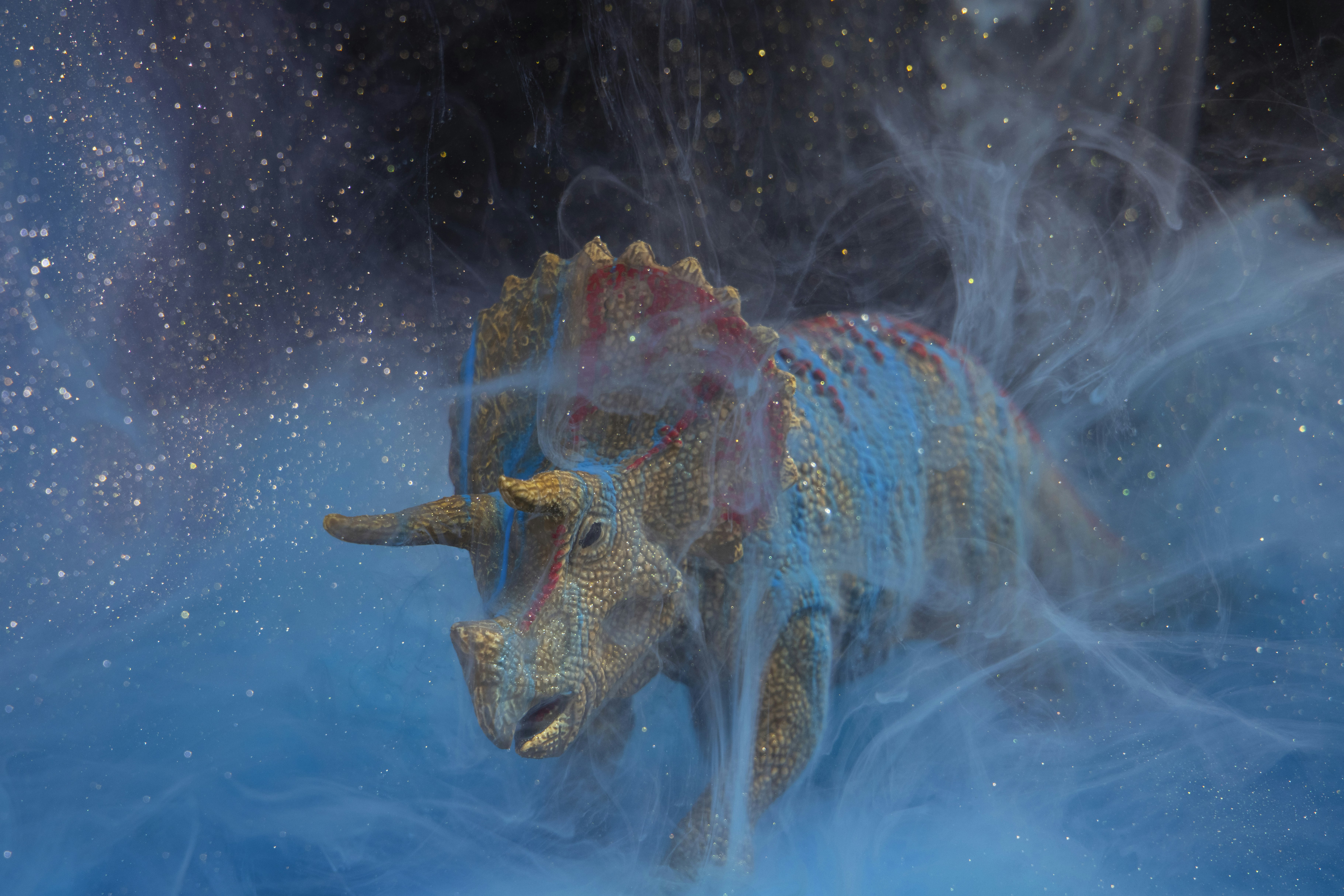brown and blue dragon illustration