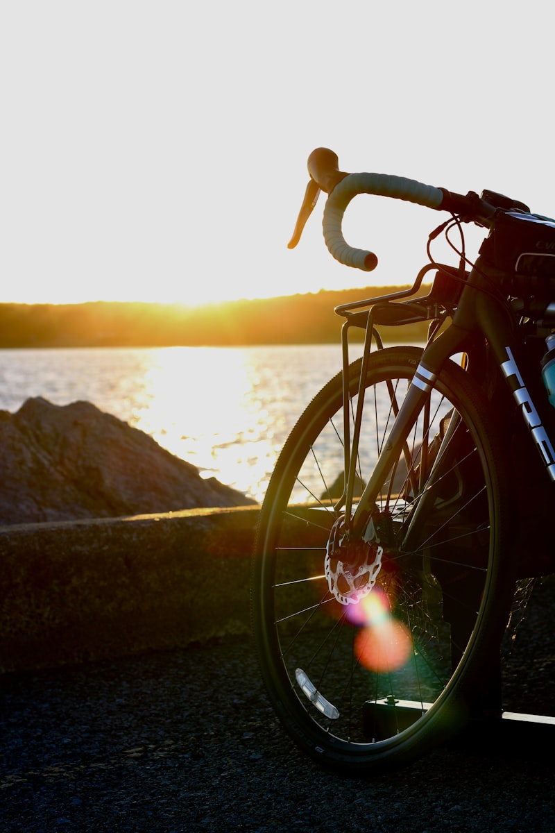 Trek Verve 2025 — 2