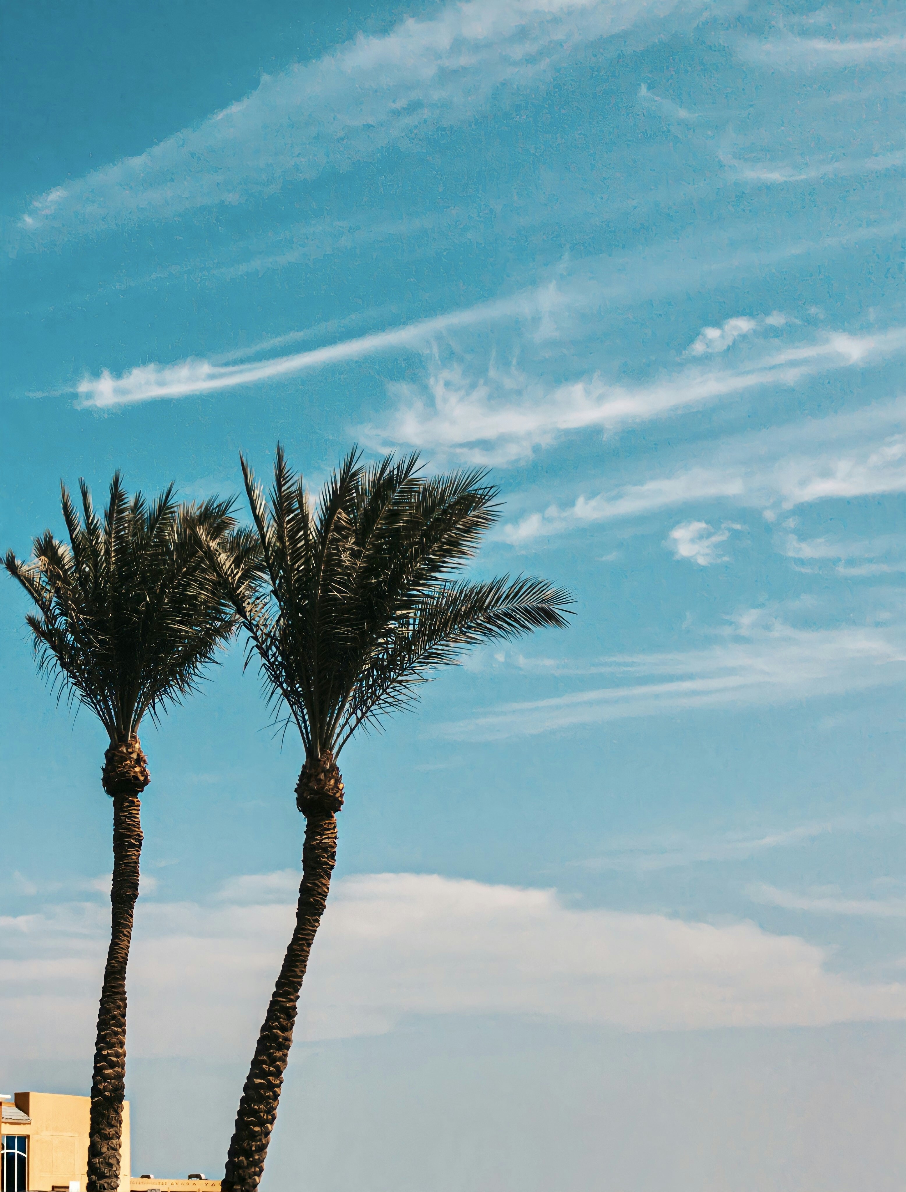 Photo by mostafatarek18