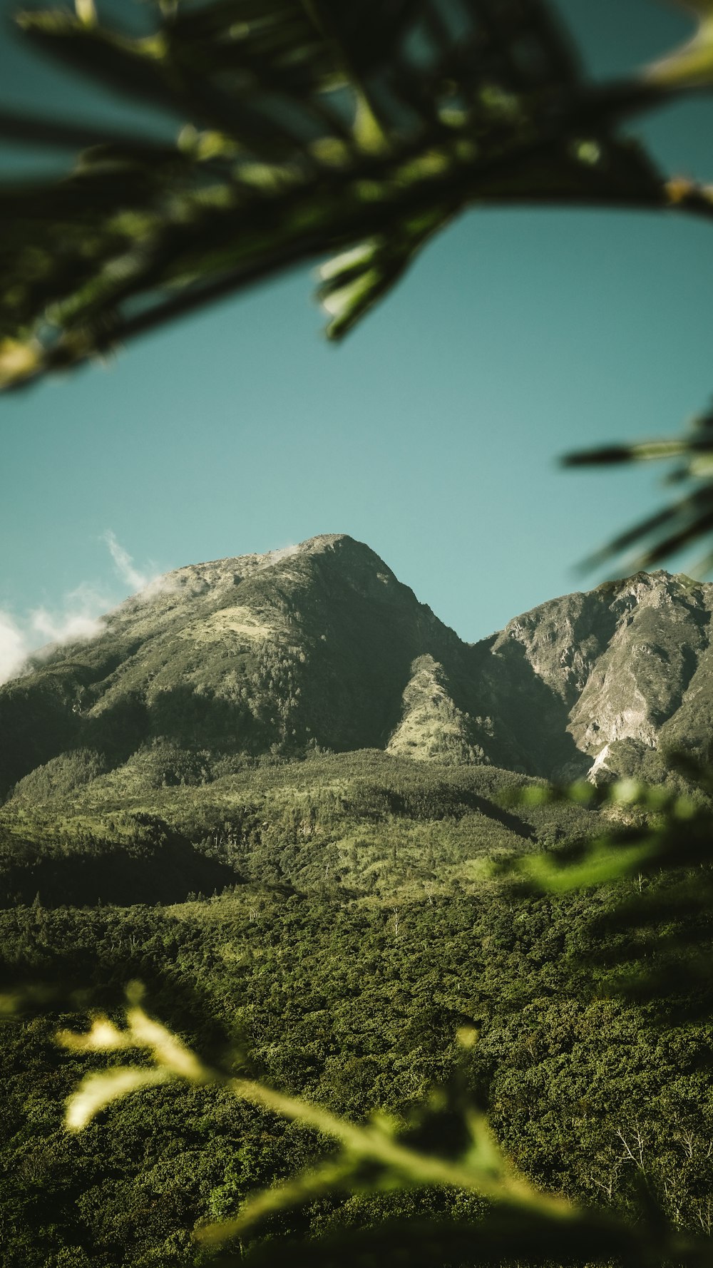 green grass field near mountain under blue sky during daytime