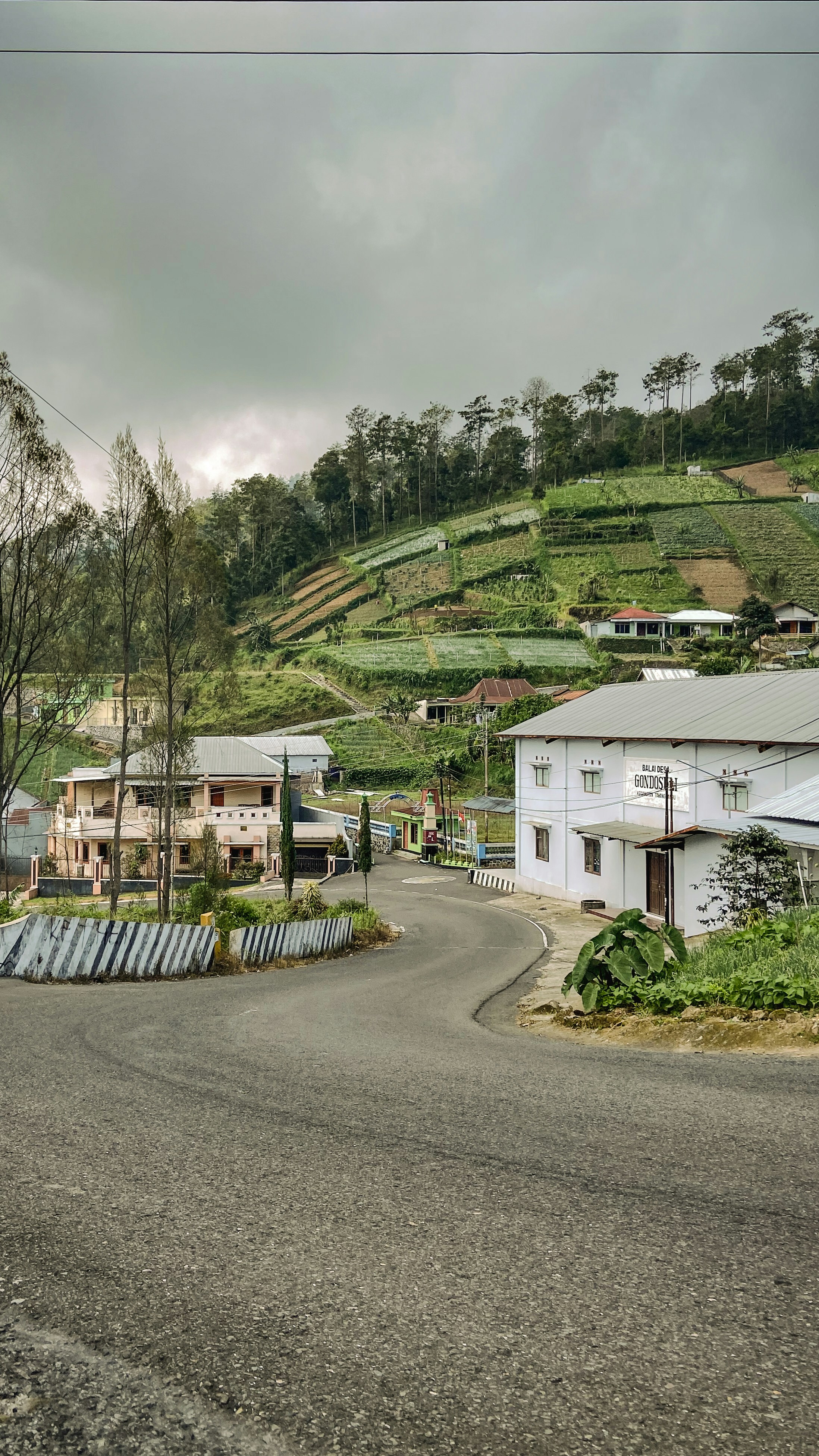 昼間は緑の木々の近くの白と茶色のコンクリートの家