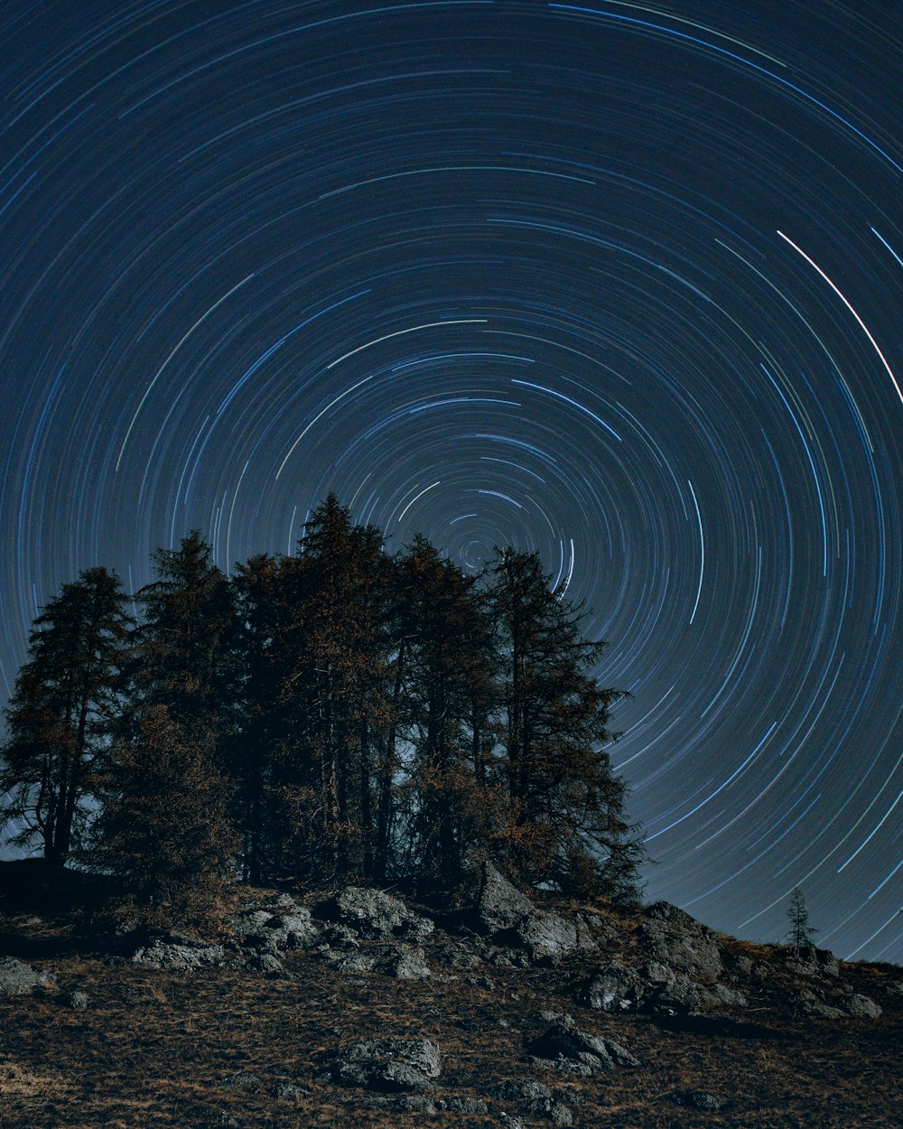 time lapse photography of stars in the sky during night time