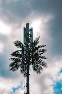 A cell tower camouflaged to look like a palm tree, set against a partly cloudy sky with sunlight peeking through.