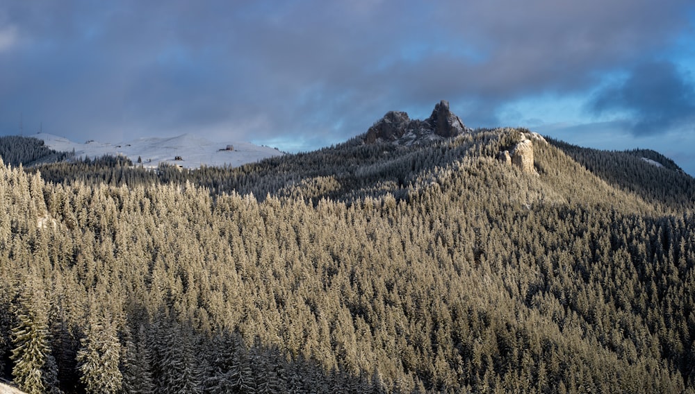 brown grass field near mountain under white clouds during daytime