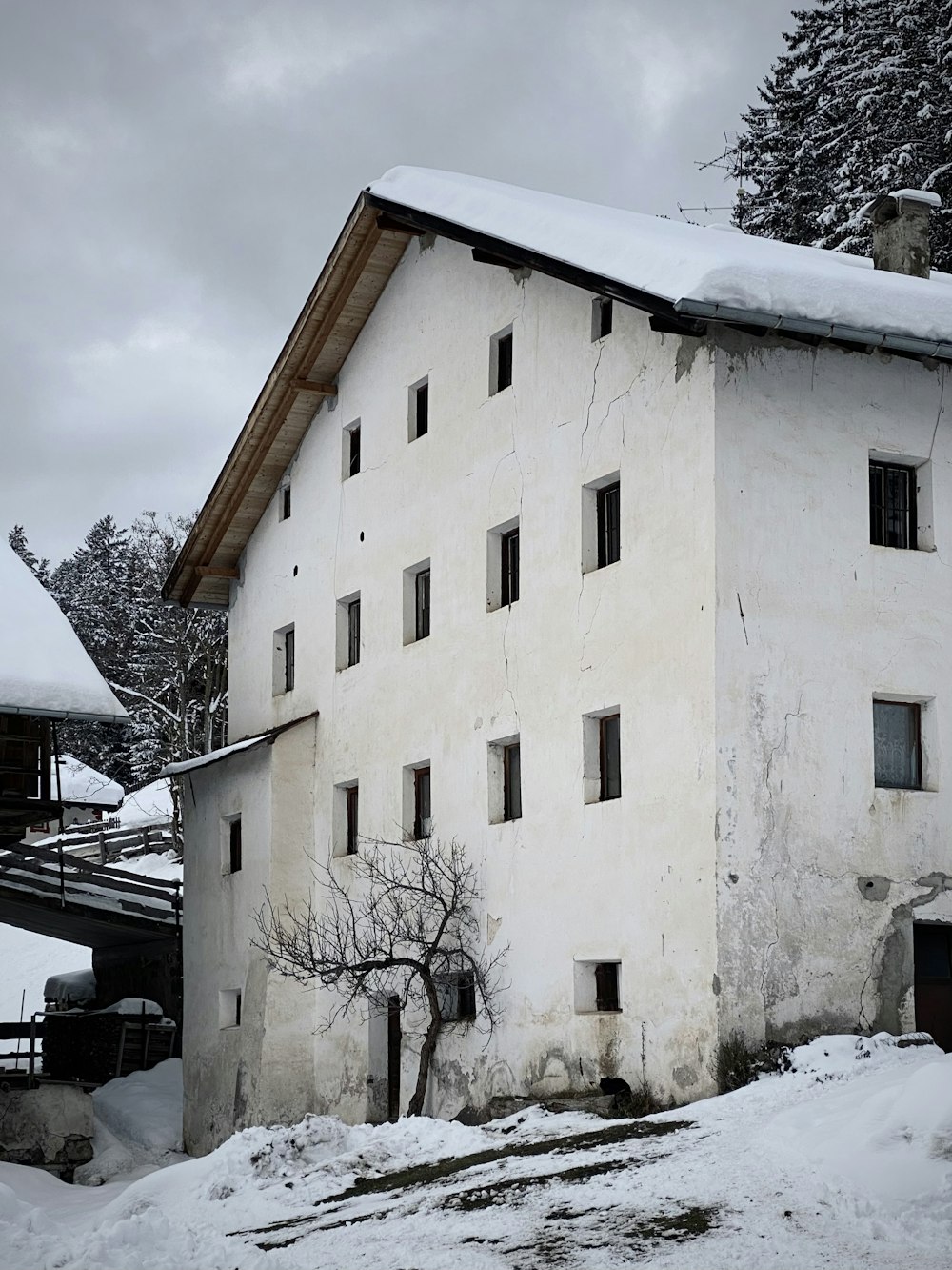 edificio in cemento bianco vicino agli alberi spogli durante il giorno