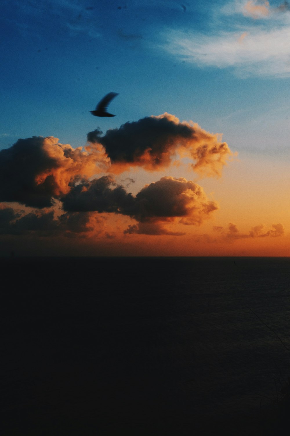 body of water under cloudy sky during sunset