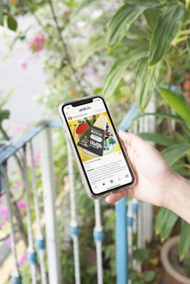 A hand holds a smartphone displaying a social media post of a vegan cheese product called 'Violife Wedge'. The phone screen shows a colorful image of the product with text below providing details. In the background, there are green plants and a railing with blue accents.