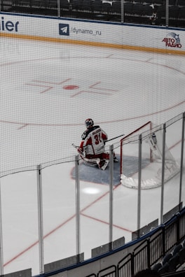 A hockey goalie wearing a red and white uniform is kneeling on the ice in front of a net. The rink is bordered by clear glass panels, and there are advertisements on the boards. The player has their back turned, with 'Johansson' and the number '31' visible on the jersey.