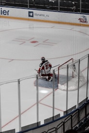 A hockey goalie wearing a red and white uniform is kneeling on the ice in front of a net. The rink is bordered by clear glass panels, and there are advertisements on the boards. The player has their back turned, with 'Johansson' and the number '31' visible on the jersey.