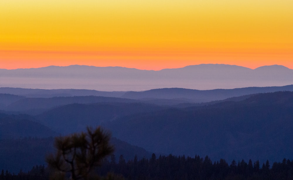 árvores verdes na montanha durante o pôr do sol