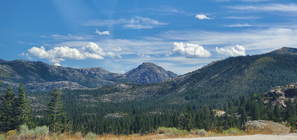 green trees near mountain under blue sky during daytime