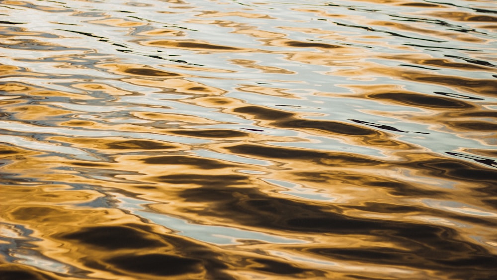 specchio d'acqua durante il giorno