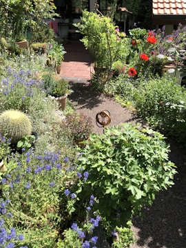 A lush garden path leads to a brick-paved patio area surrounded by vibrant plants and flowers. Red poppies, purple blooms, and various green foliage create a colorful and inviting atmosphere. A decorative metal stand is placed prominently along the path, adding a touch of art to the natural setting.