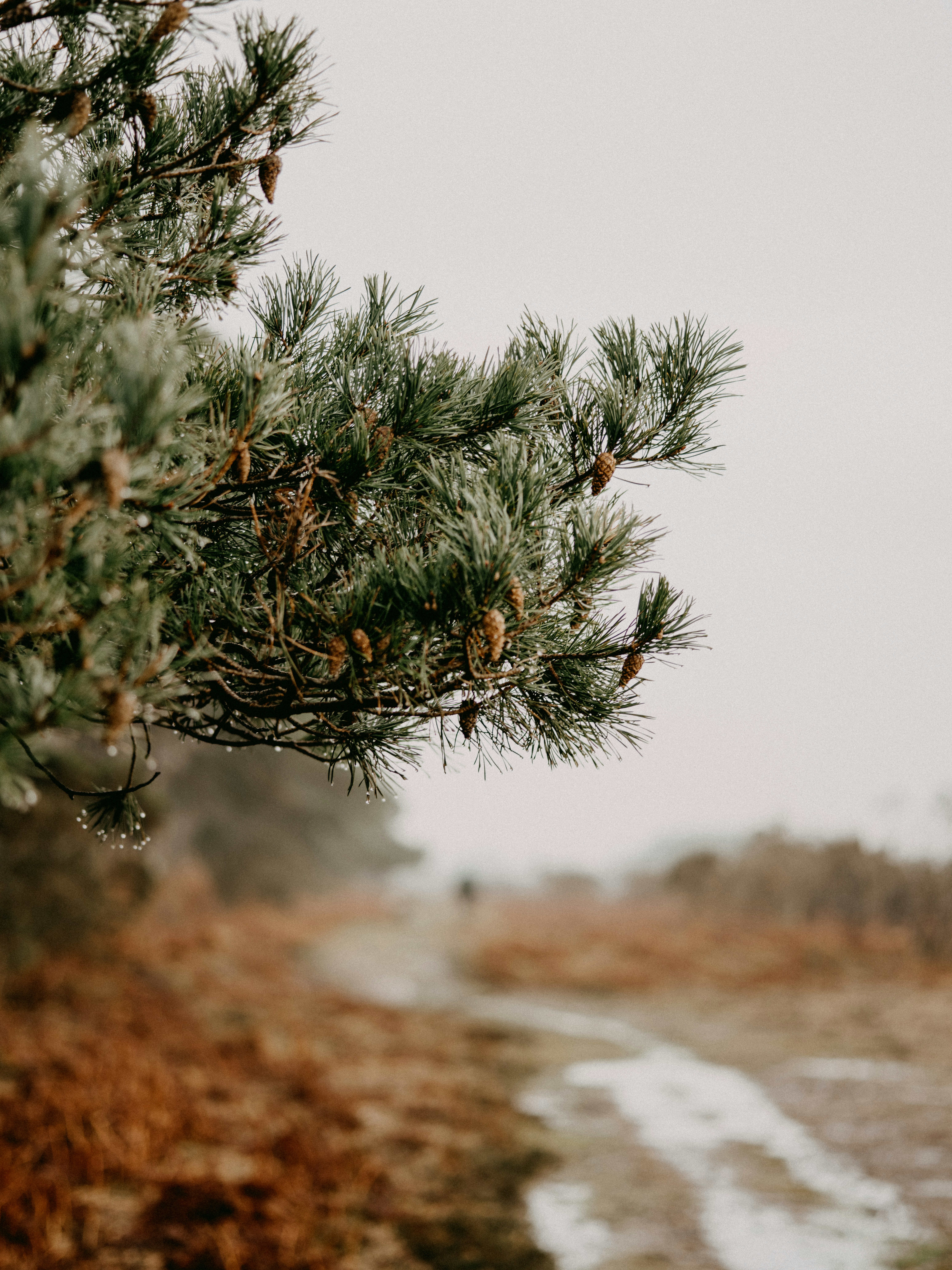 Photo by anniespratt