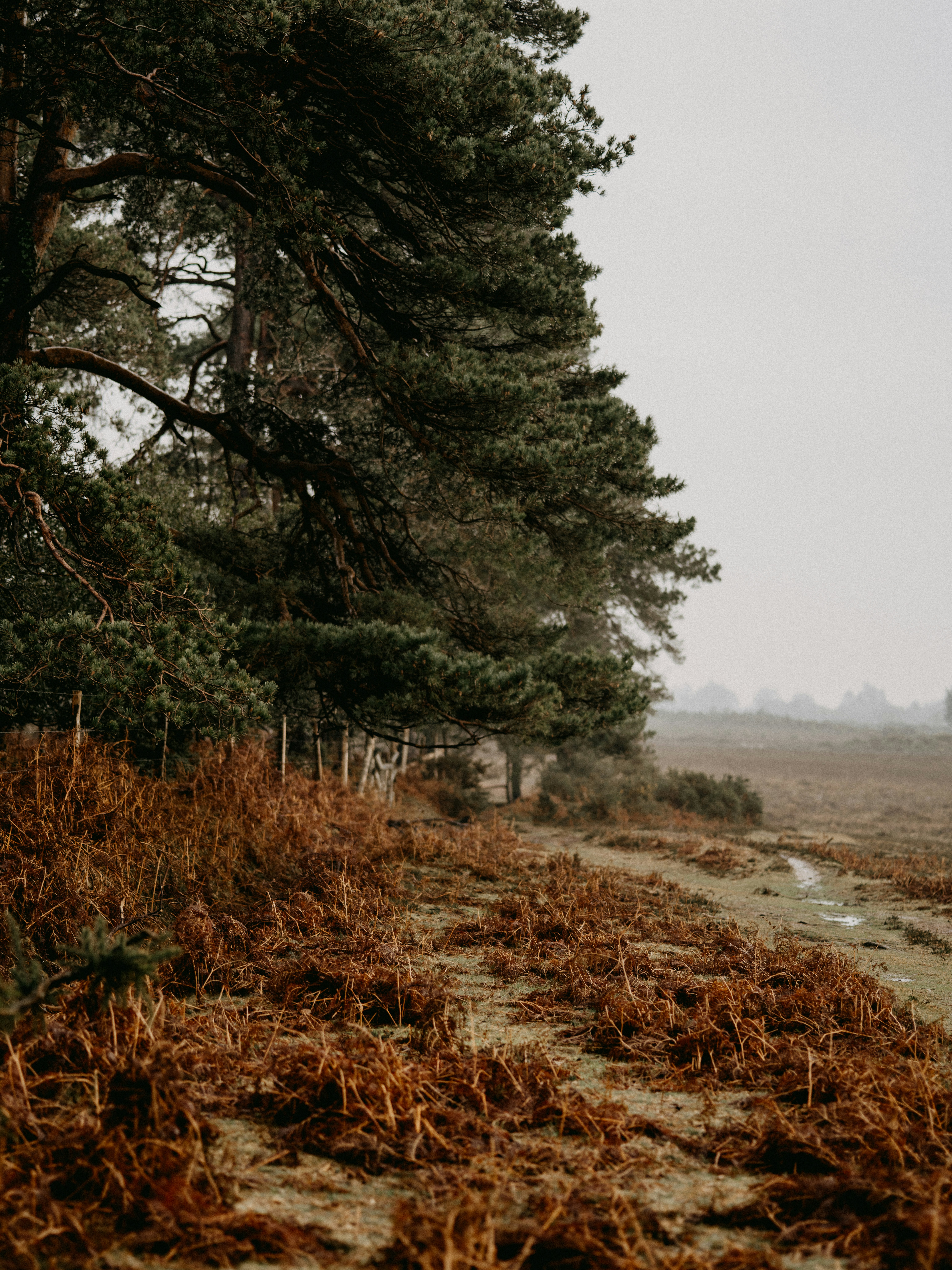 Photo by anniespratt