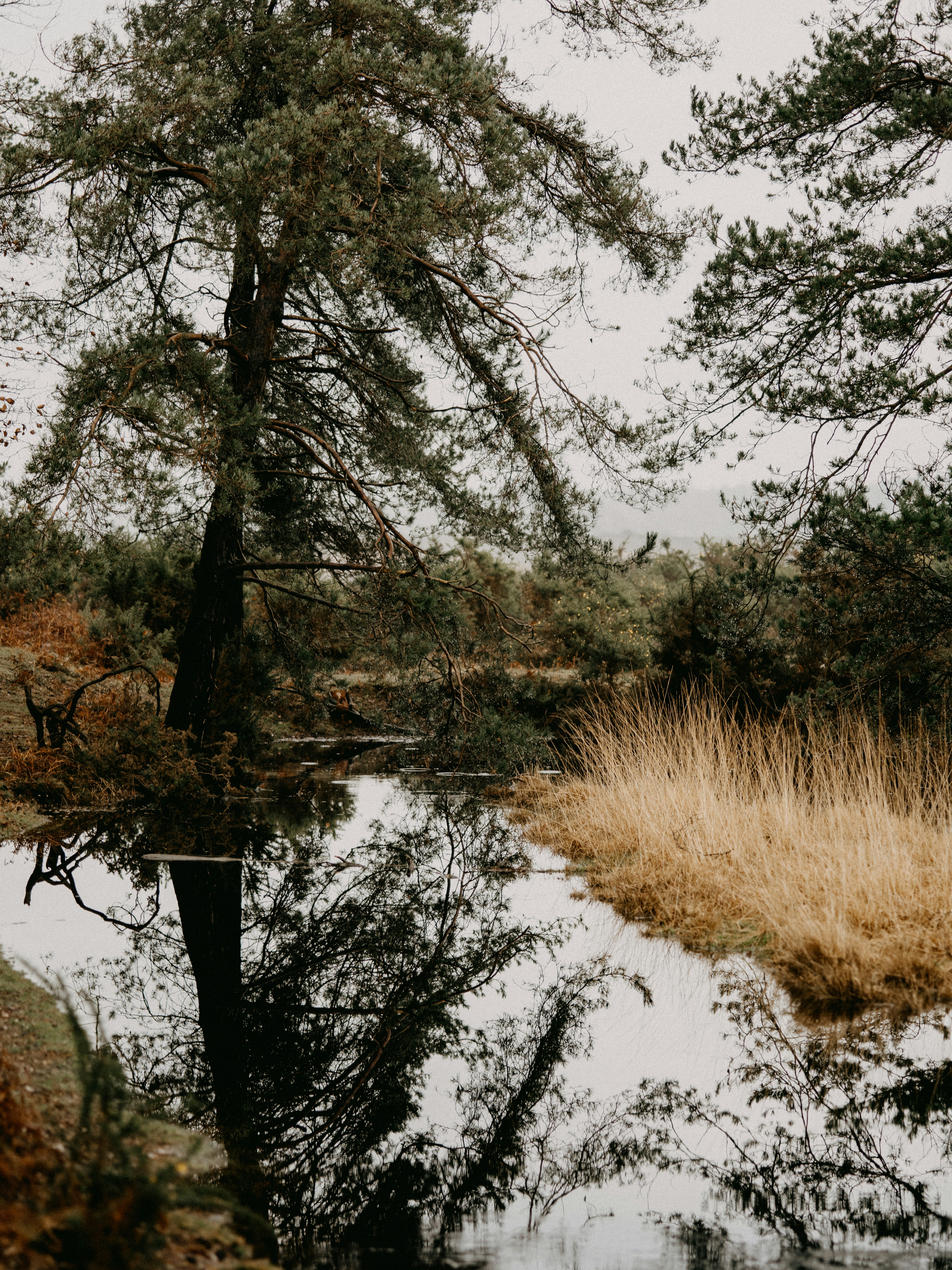 Photo by anniespratt