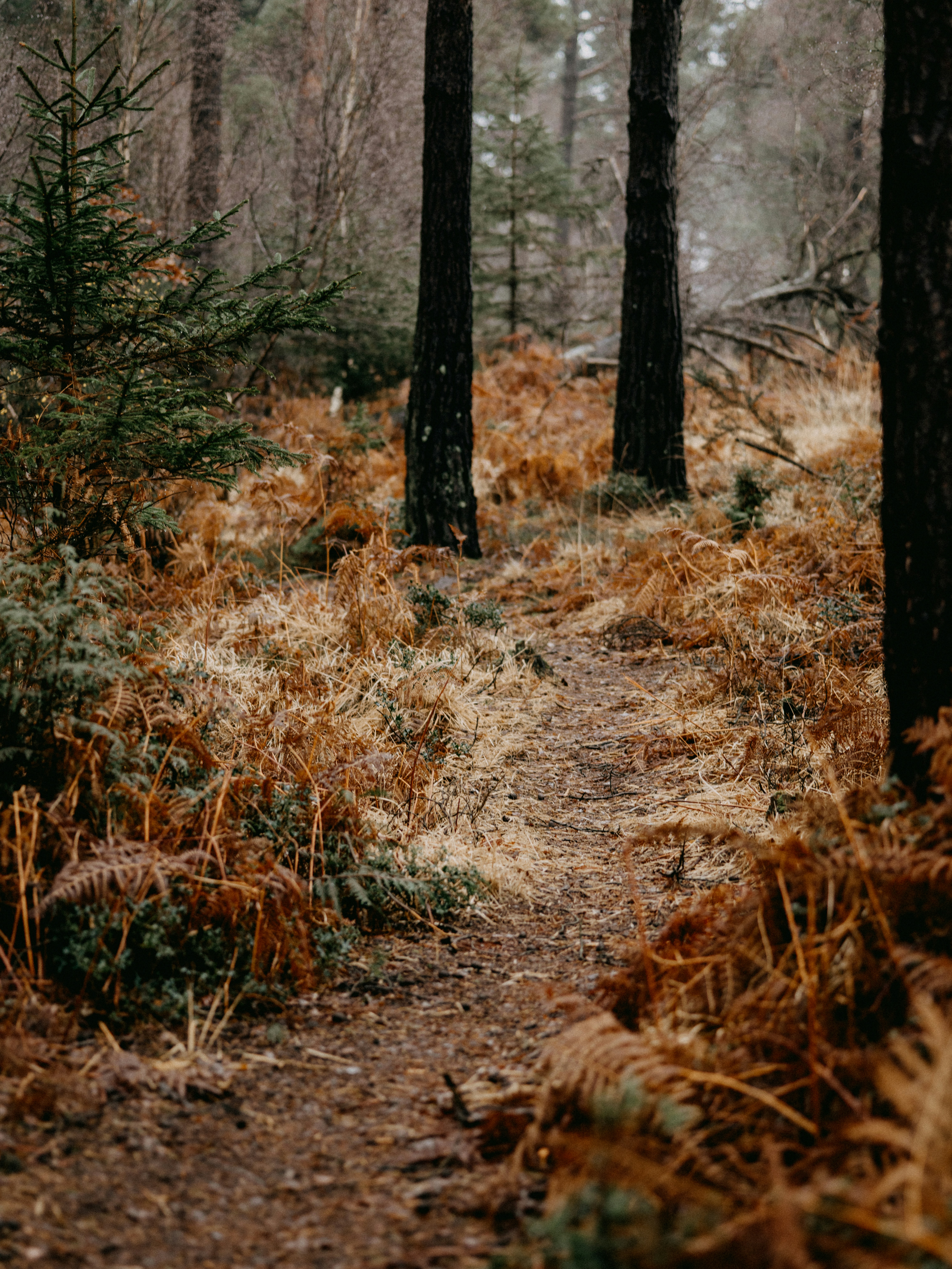 Photo by anniespratt