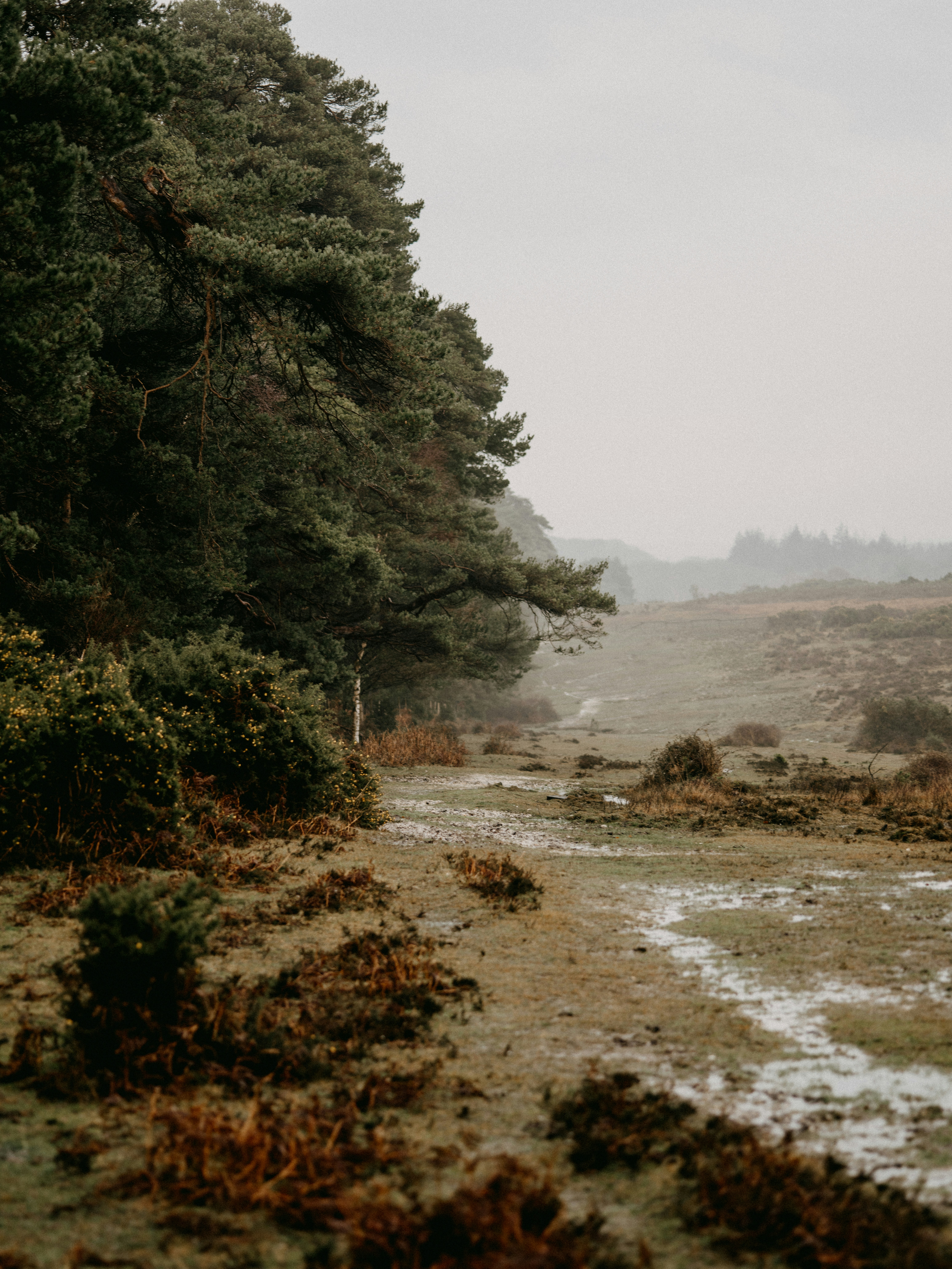 Photo by anniespratt