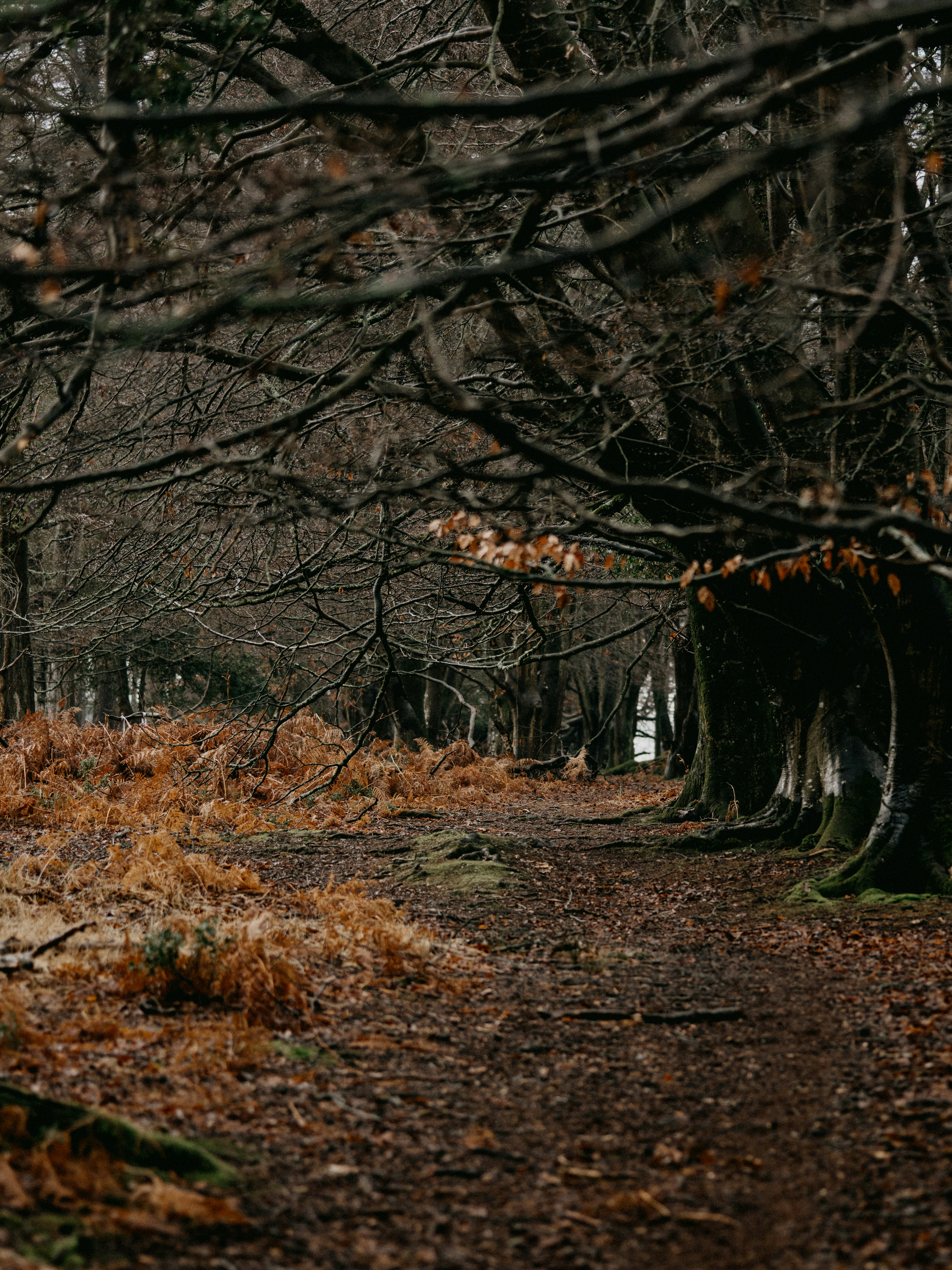 Photo by anniespratt