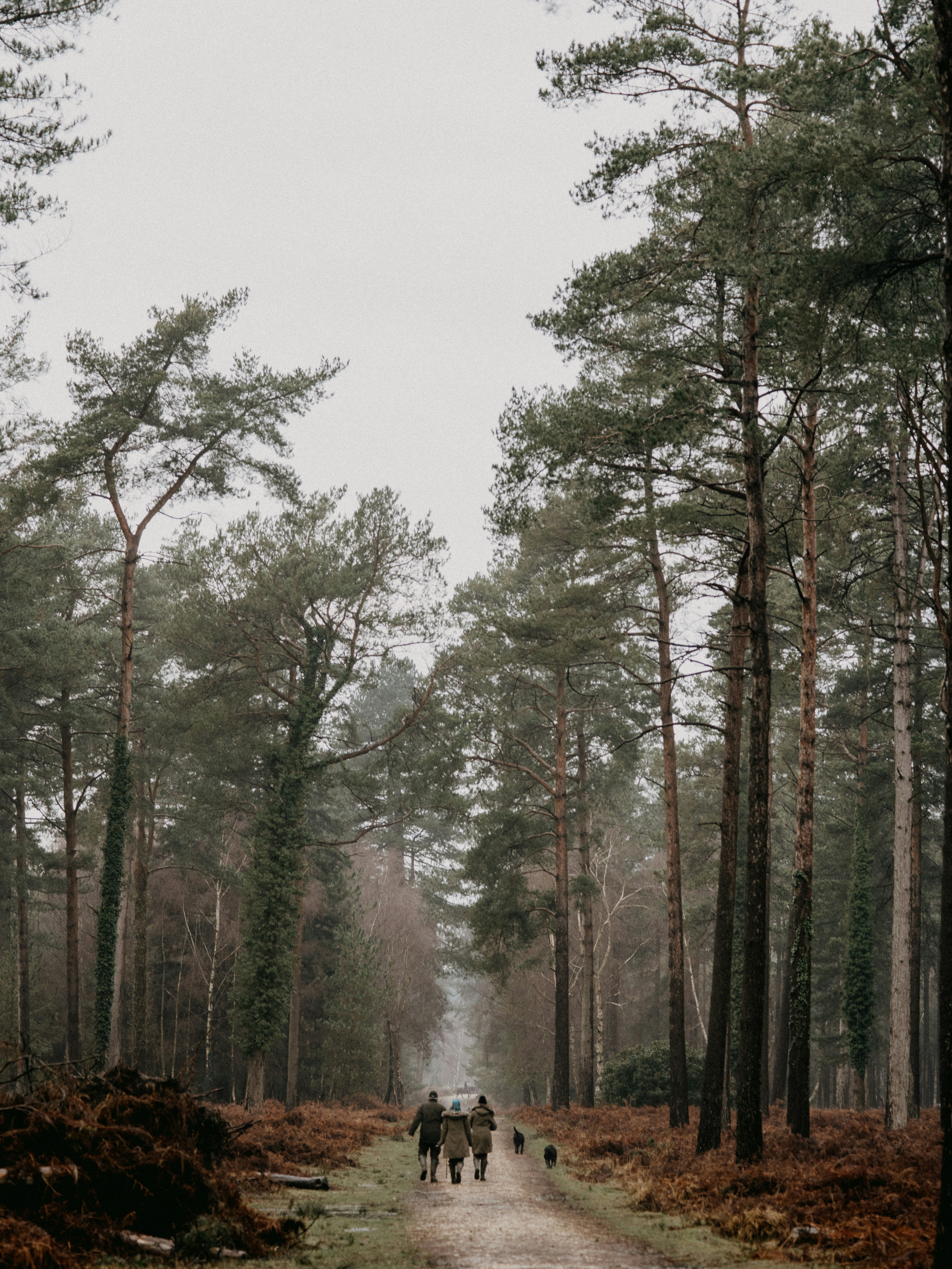 Photo by anniespratt