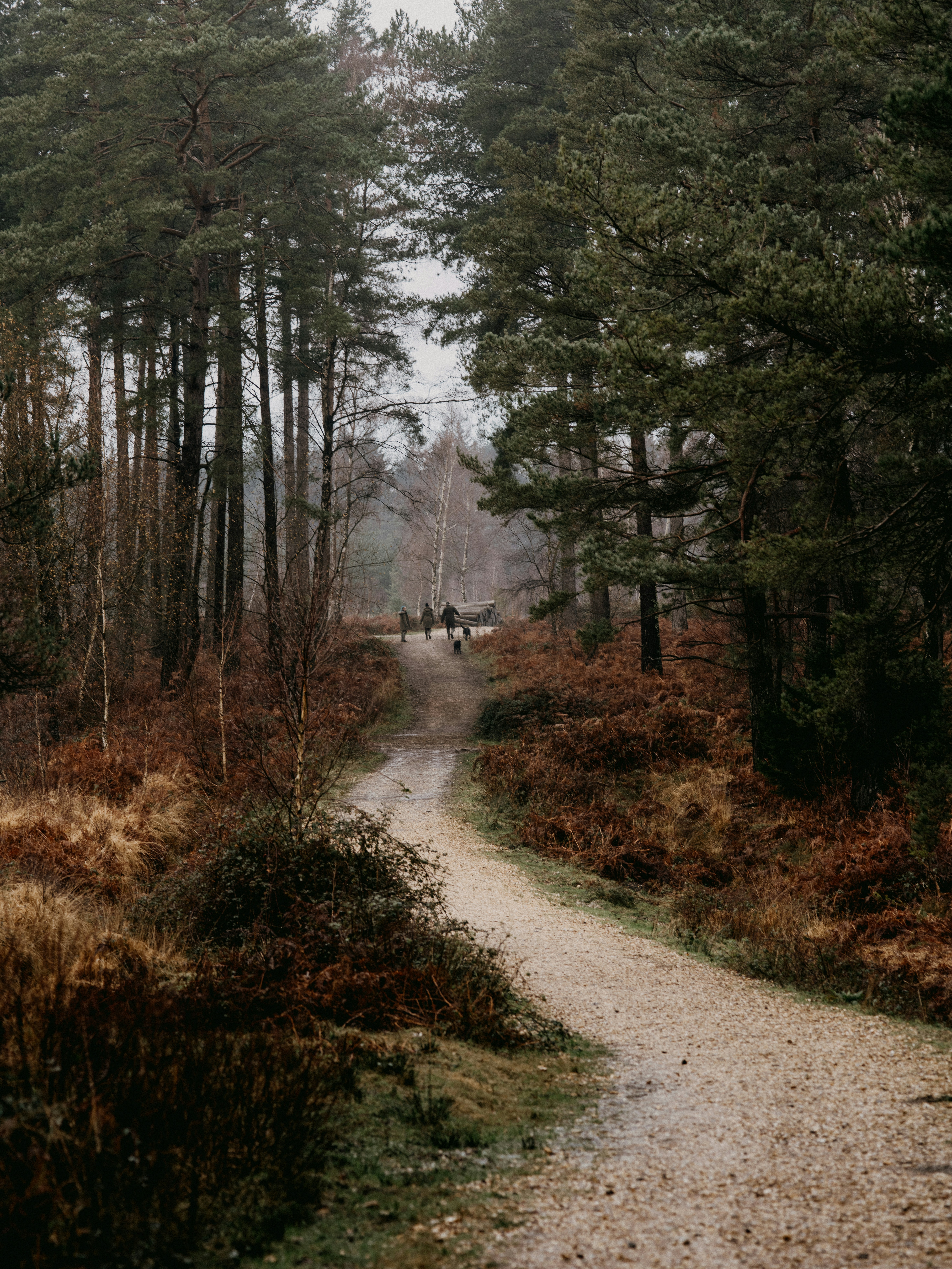 Photo by anniespratt