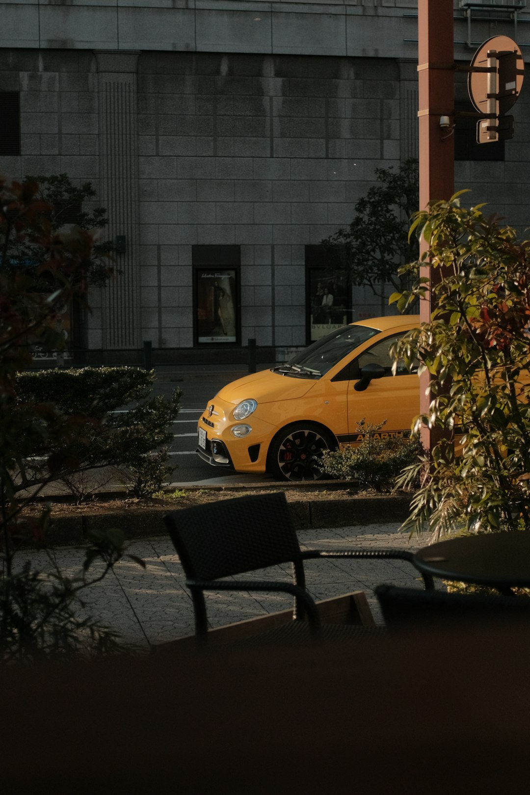 yellow car parked near brown tree