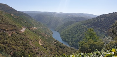 A scenic landscape featuring a winding river flowing through a lush, green valley. The surrounding hills are covered with dense vegetation and vineyard terraces. The sky is clear and bright, enhancing the vibrant colors of the natural scenery.