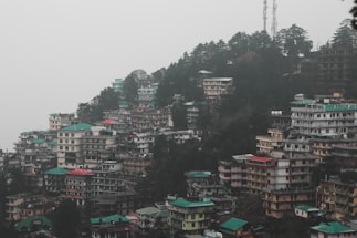 aerial view of city buildings during daytime