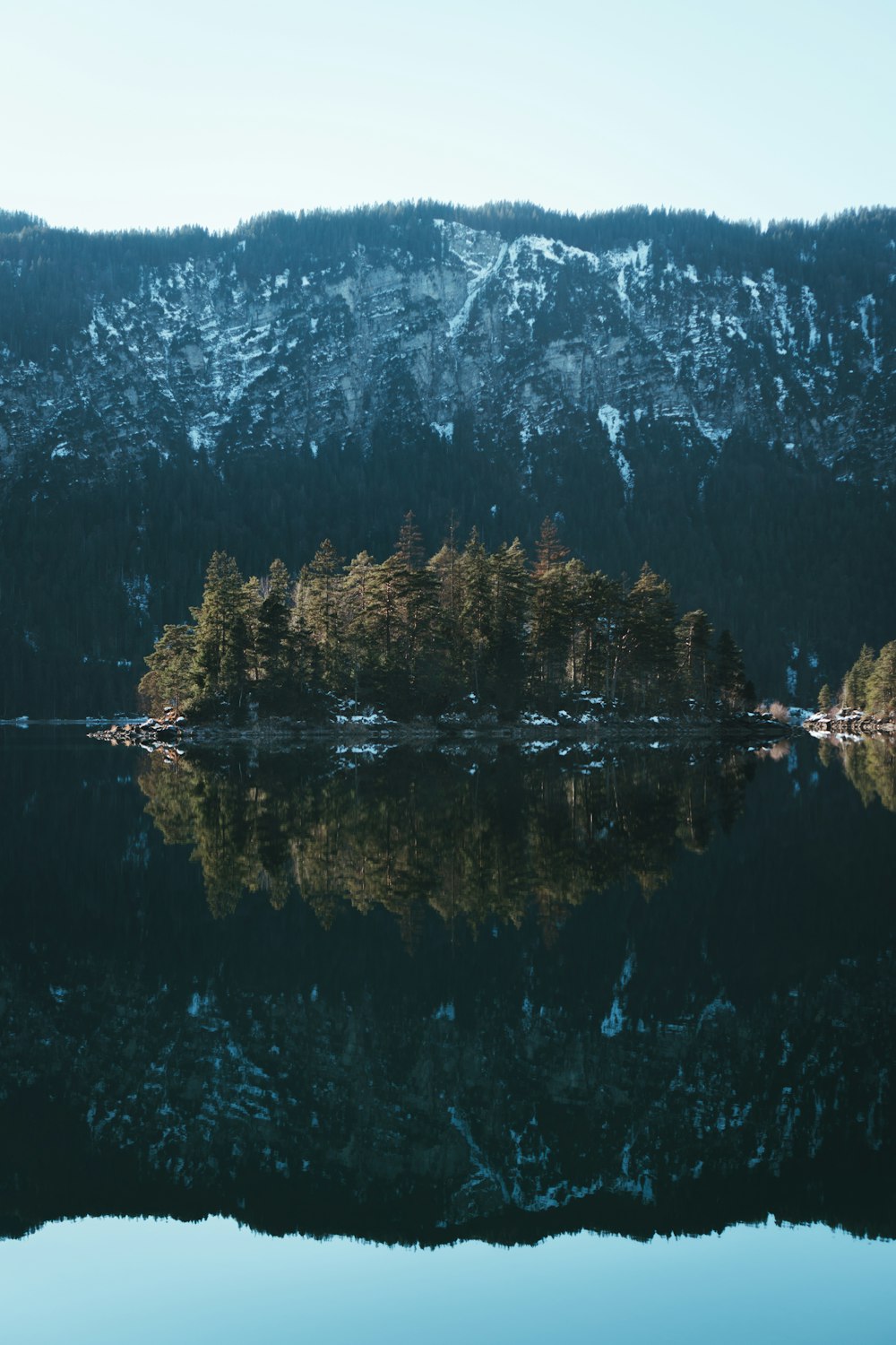 green trees near lake during daytime