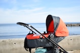 A sleek, foldable baby stroller parked beside a sunny park bench.