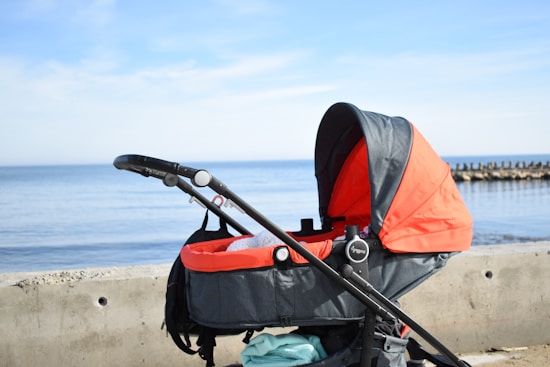 A baby stroller with a bright orange canopy is parked beside a concrete path overlooking a calm, blue ocean. The sky is clear with light clouds, and a breakwater is visible in the distance.