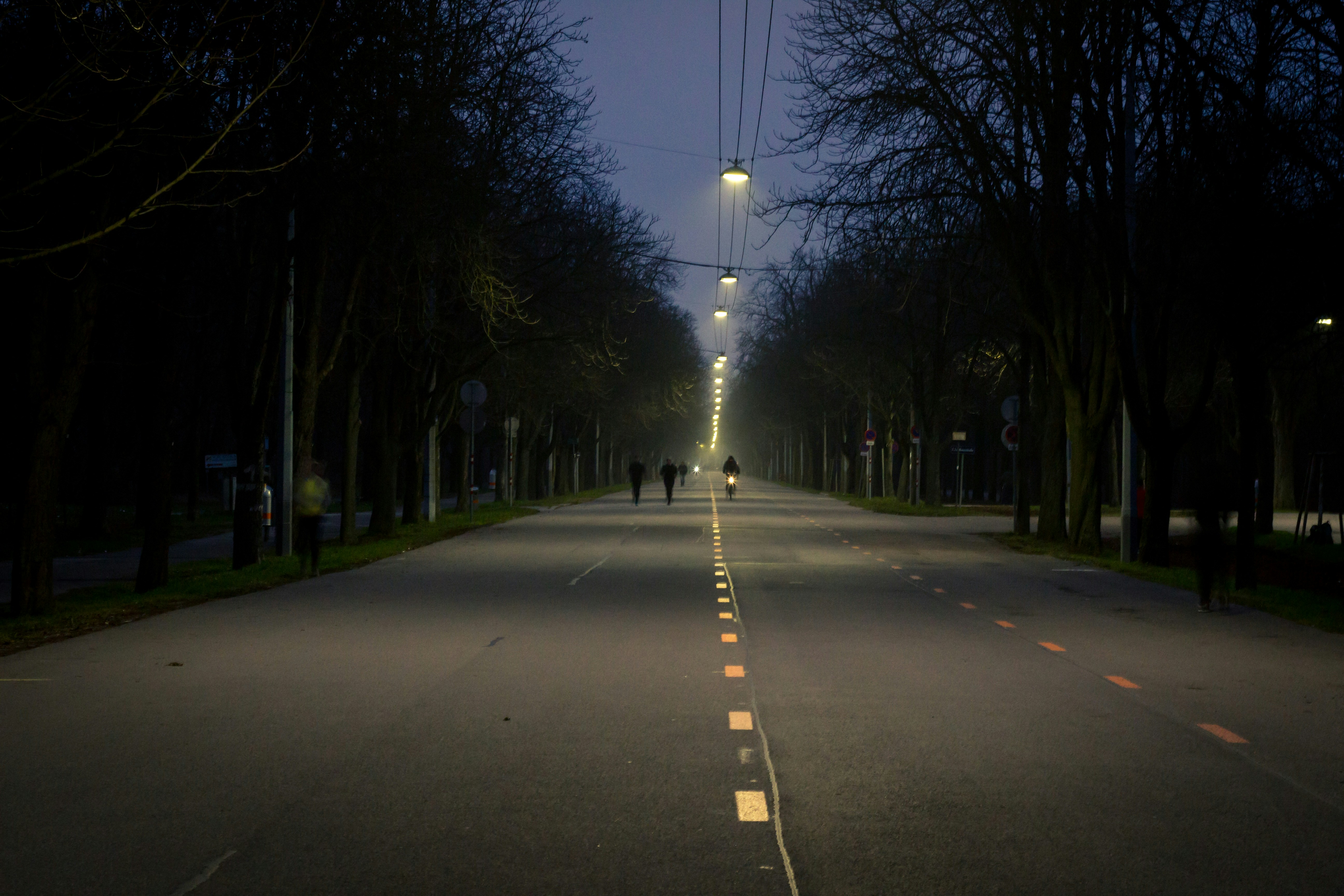 Photo by herrlechner