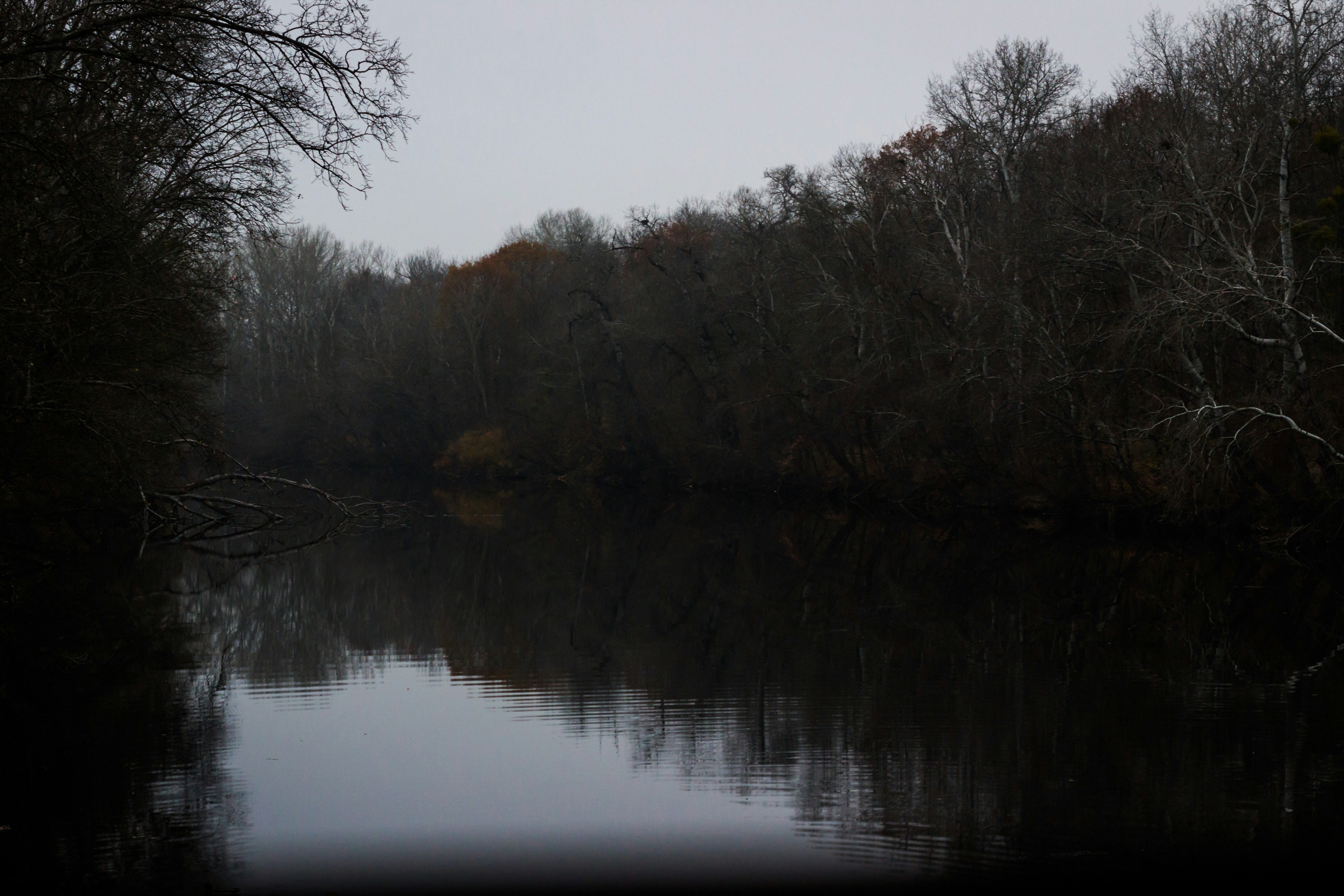 Photo by herrlechner