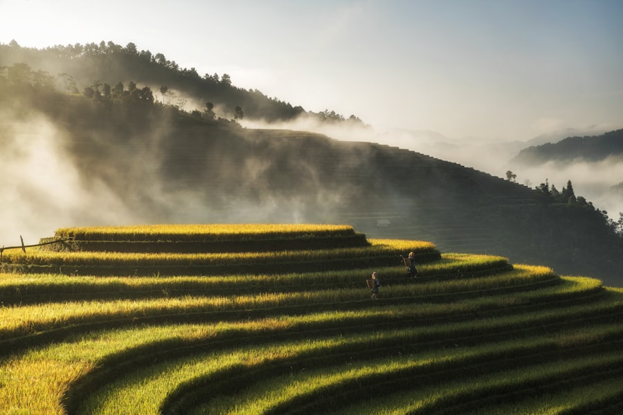 Vietnam Grand Tour gallery 2