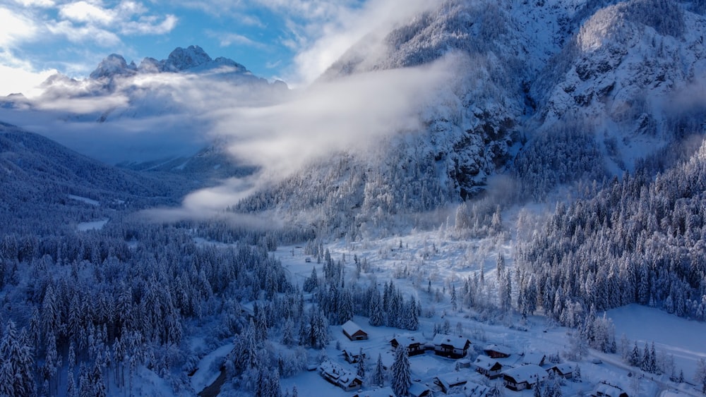 snow covered trees and mountains during daytime