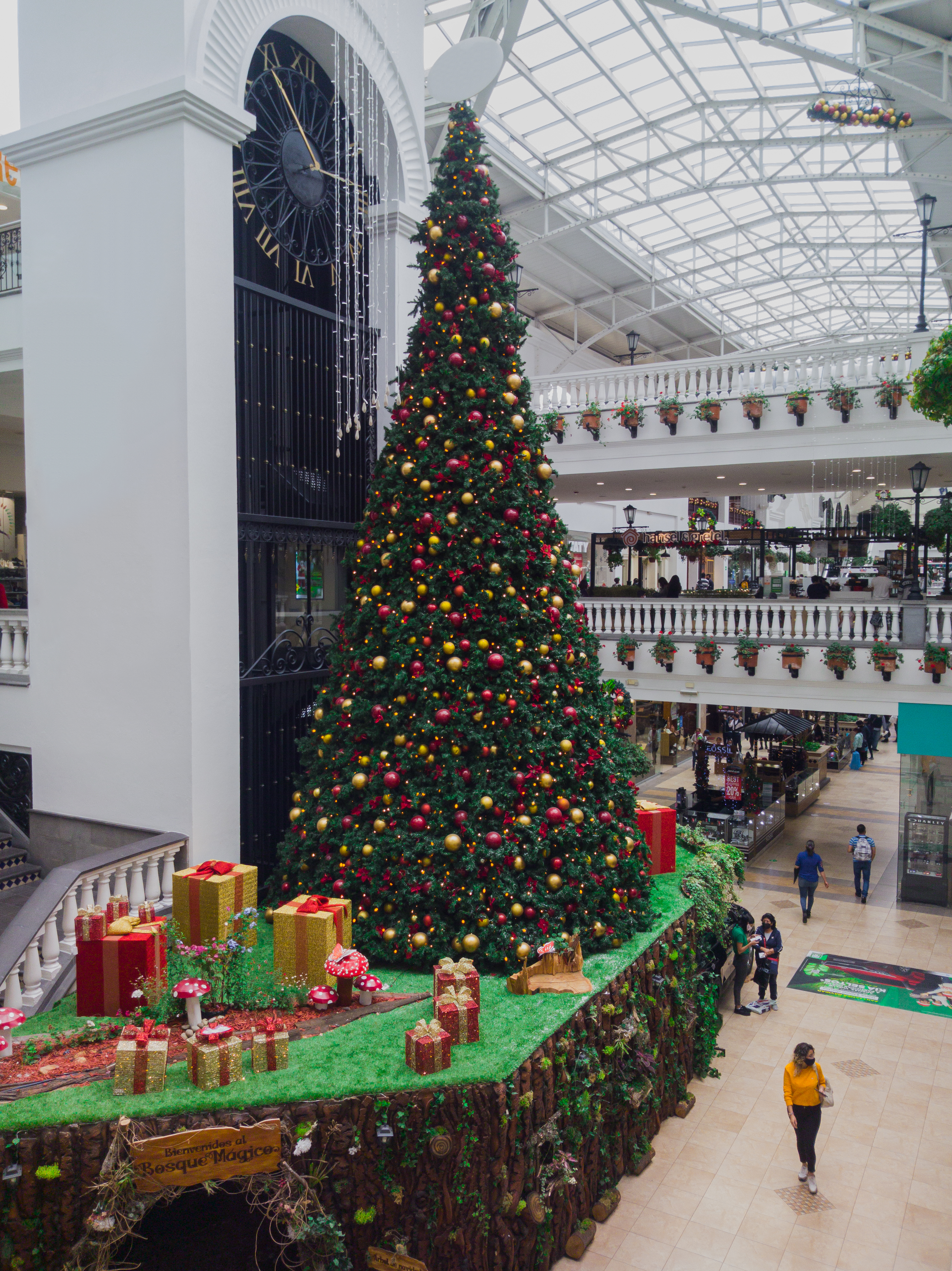 Photo by leoniegiardini