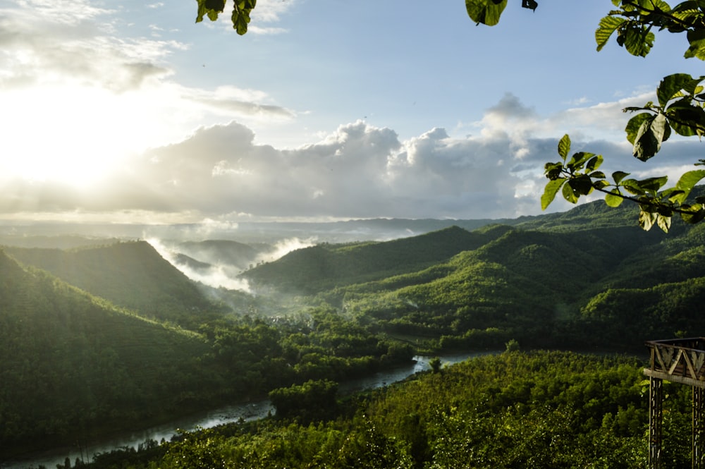 green trees on mountain under cloudy sky during daytime