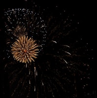 A cluster of bright golden crackling fireworks exploding like starbursts with hints of neon green