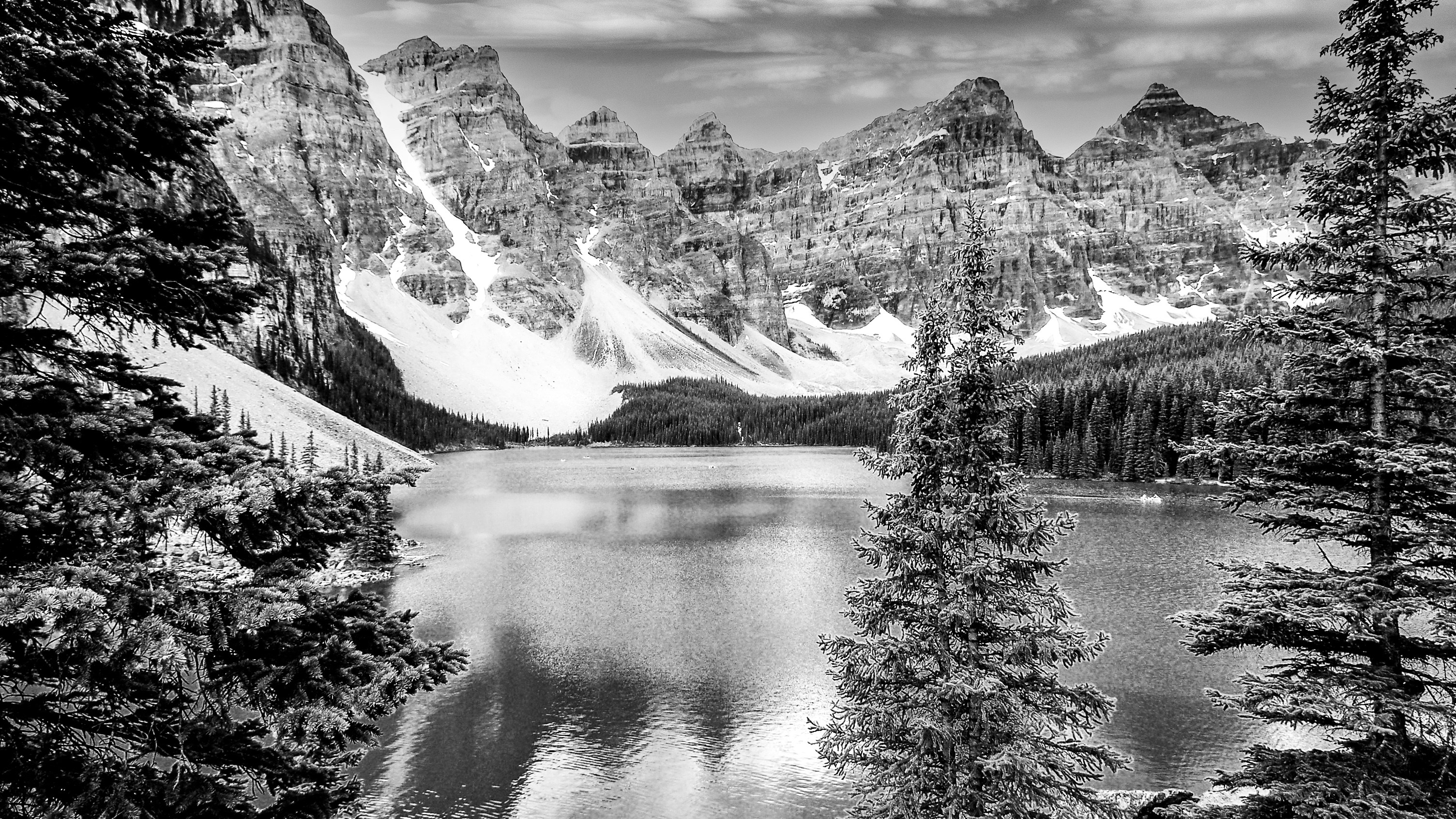 Photo by devonshiremedia