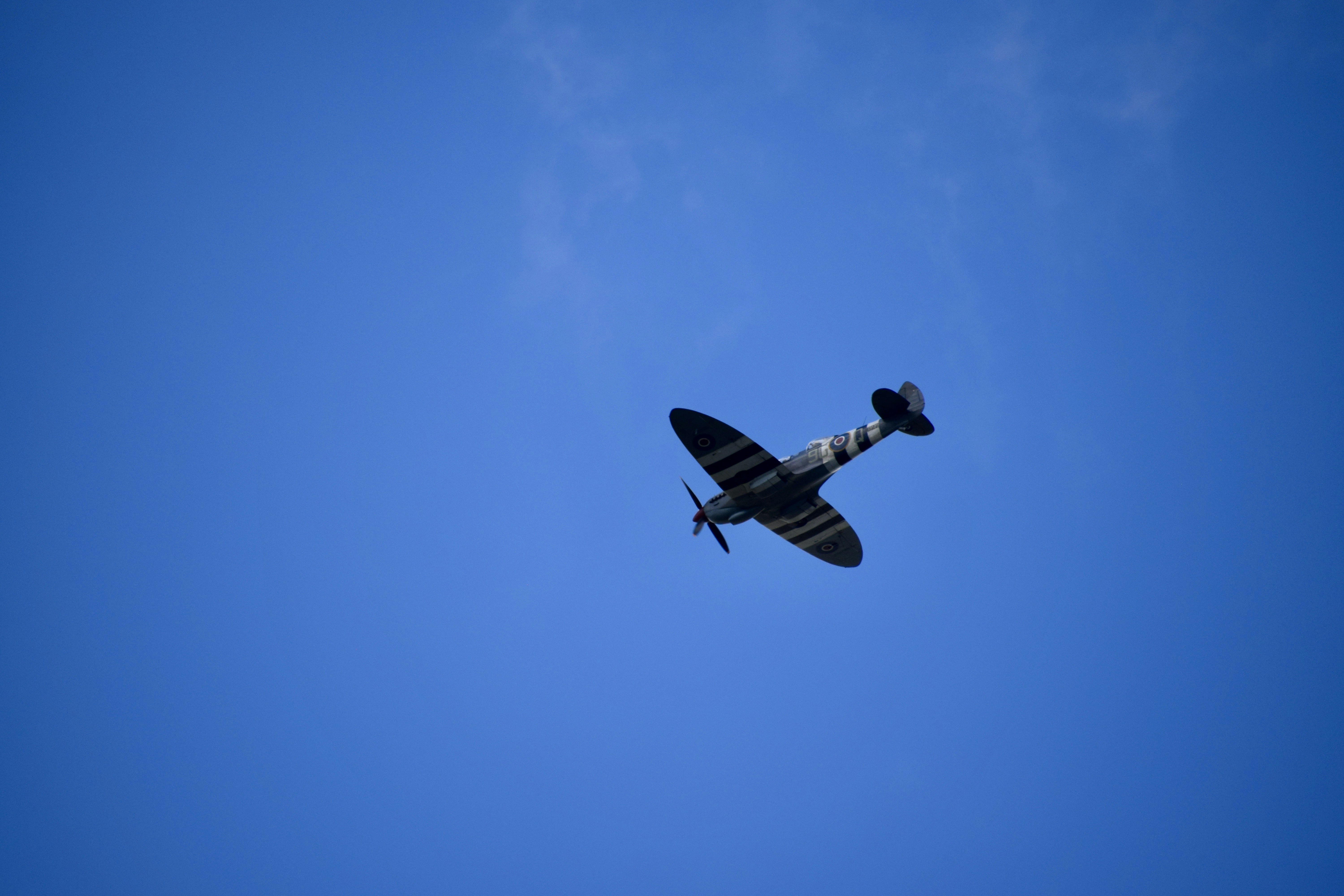 black and white bird flying under blue sky during daytime, Spitfire over Beachy Head