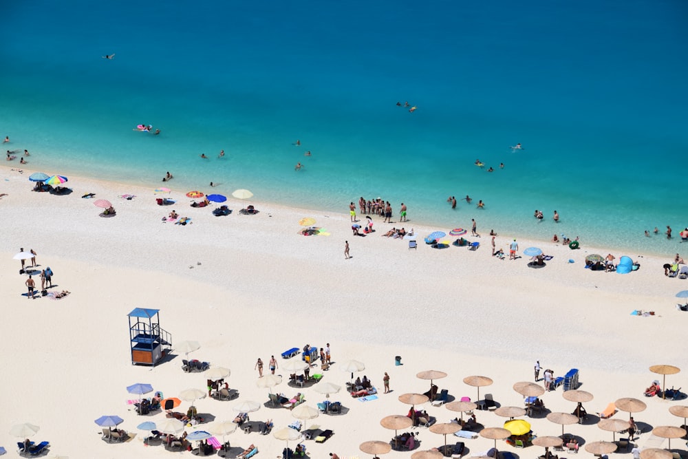 people on beach during daytime