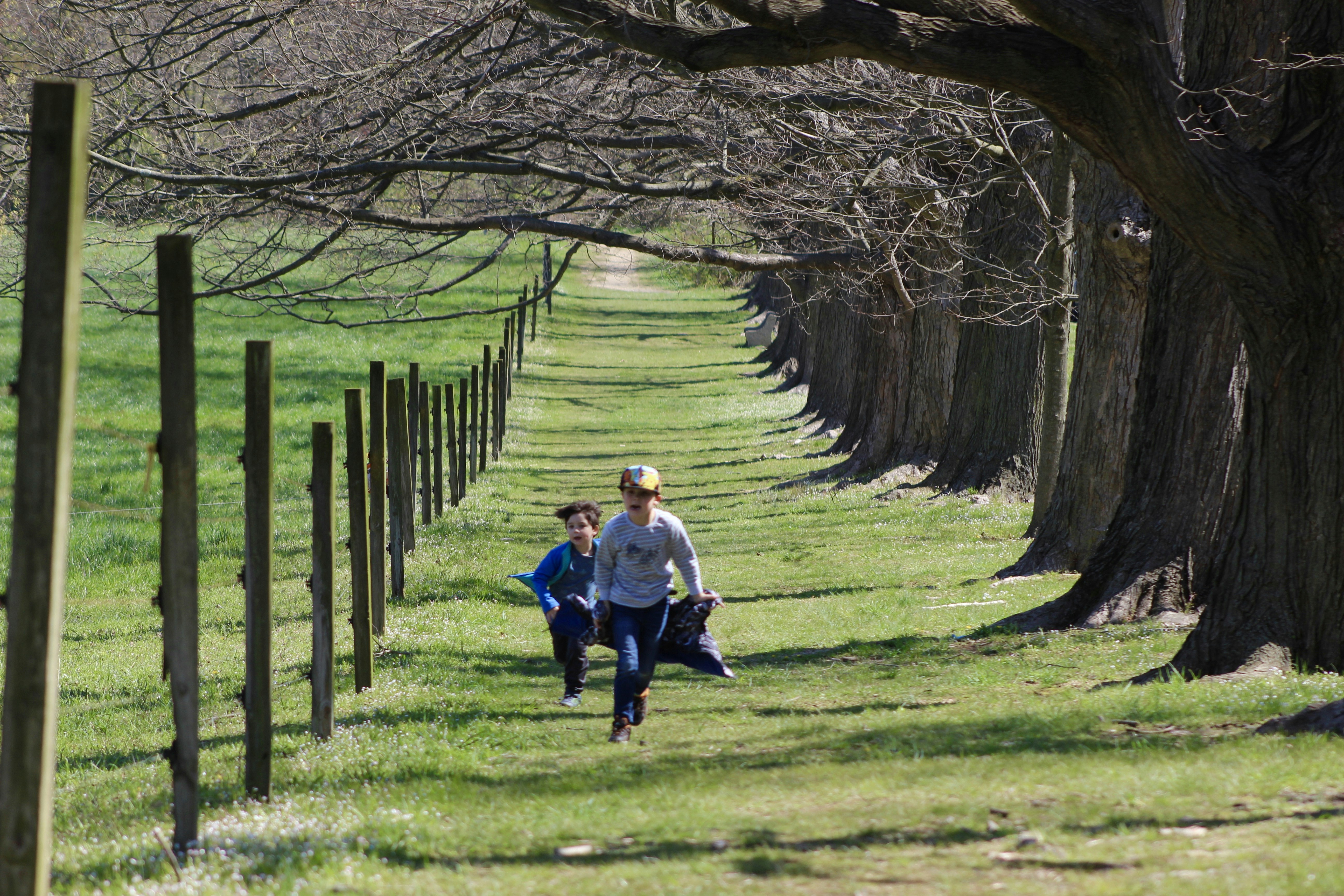 Bugün öğrendim ki: 1983'te 544 mil...