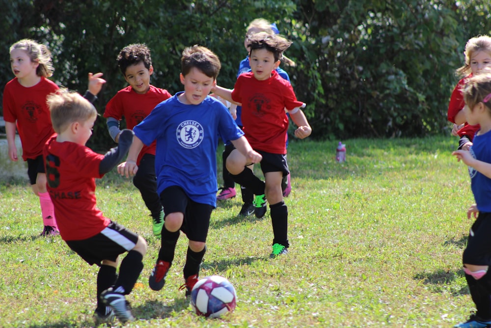 Niño en camiseta de fútbol roja y azul pateando la pelota de fútbol en el campo de hierba verde durante el día