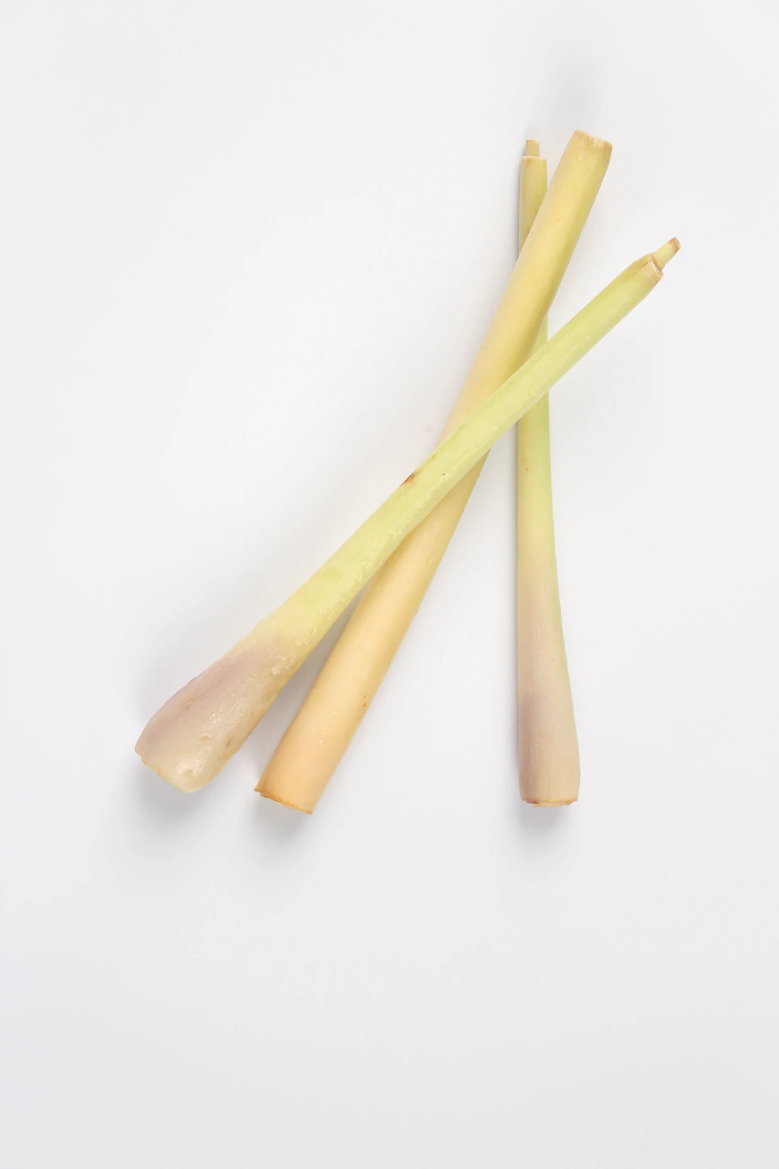 Tall green lemongrass leaves against a clear background
