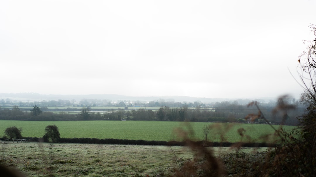 green grass field under white sky during daytime