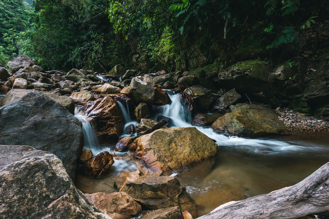 water falls in the middle of the forest