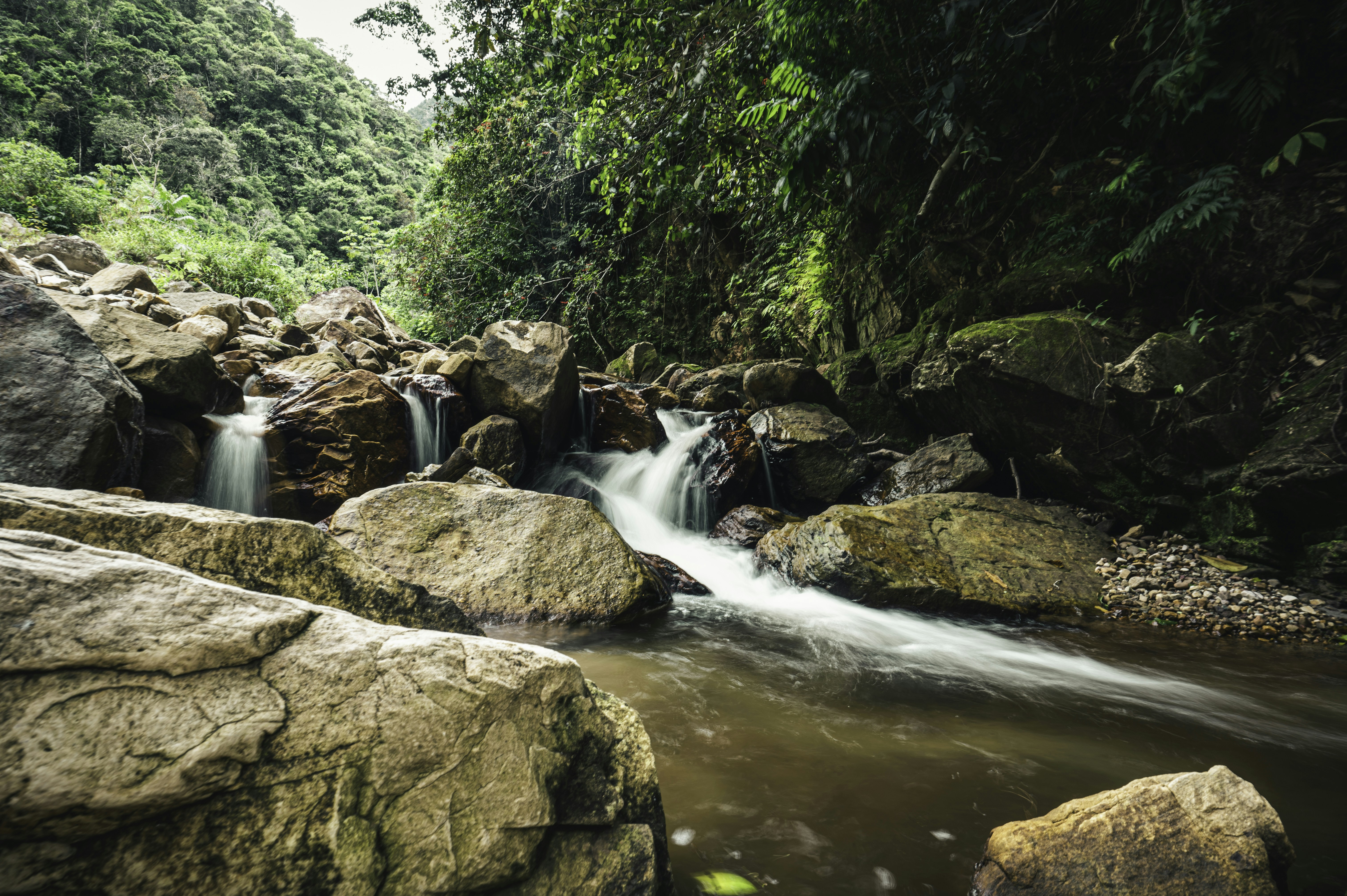 water falls between rocks and trees during daytime, 