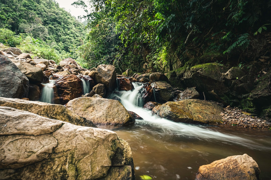 water falls between rocks and trees during daytime