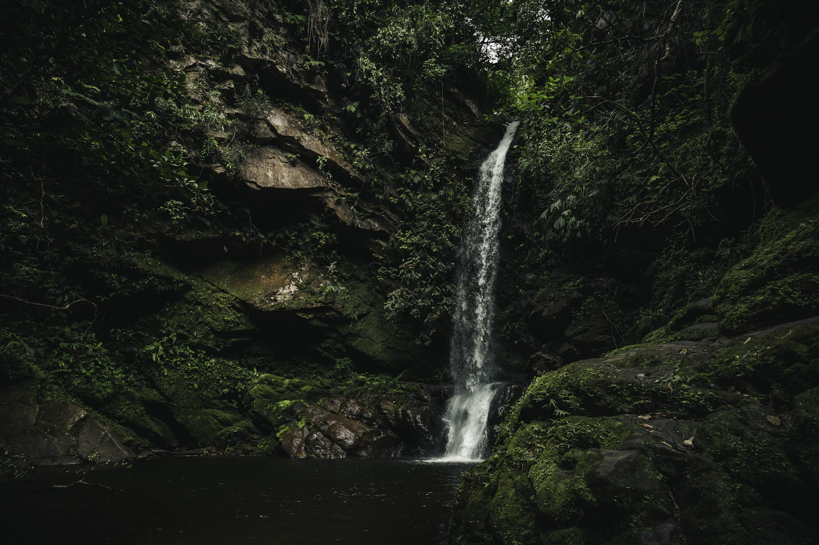 Waterfall cascading over mossy green rocks in a lush forest gorge